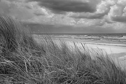 Uitzicht over het strand op Usedom met duinen aan de ene kant en de Baltische Zee aan de andere, in zwart-wit