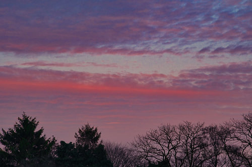 Paarse gloed in zonsondergang