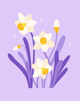Narcissus Stars - Daffodil Light