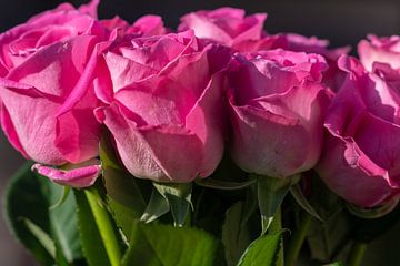 Roze rozen op een rij van Jolanda de Jong-Jansen
