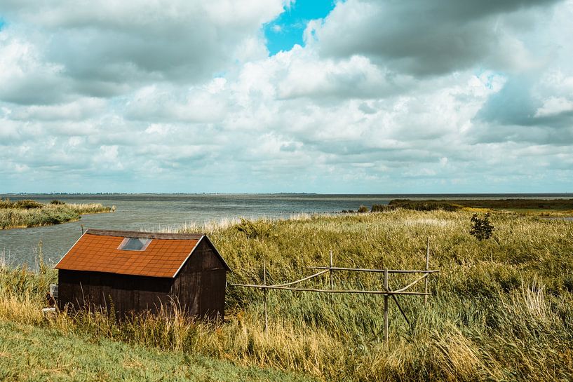 Natuur van Noord-Holland van Mandy Jonen