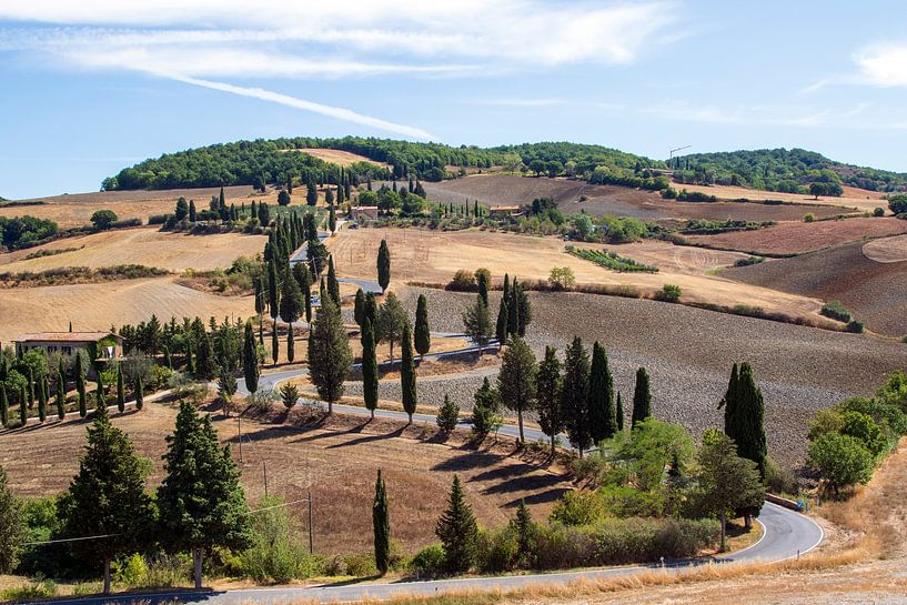 Cipressenweg Toscane (2) van Jolanda van Eek en Ron de Jong