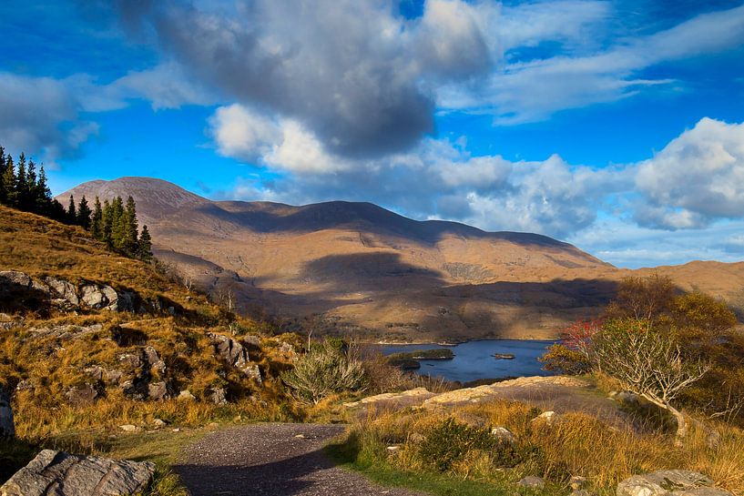 Ladies View Killarney National park van Bart Hendrix