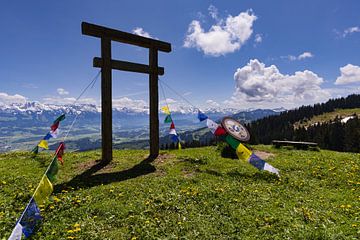 Torii op de middagpiek van Walter G. Allgöwer