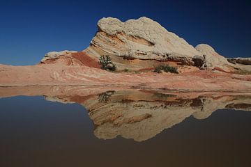 White Pocket, Vermilion Cliffs National Monument, Arizona van Frank Fichtmüller