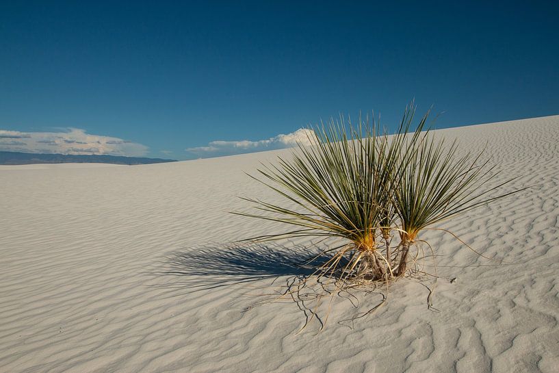 White Sands National Park New Mexico by Gert Hilbink