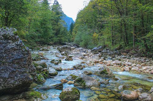 Rivier landschap in Oostenrijk