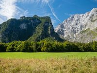 Blick auf Wiese und Berge in den deutschen Alpen