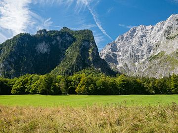 Uitzicht op weide en bergen in de Duitse Alpen van Moniek van Rijbroek