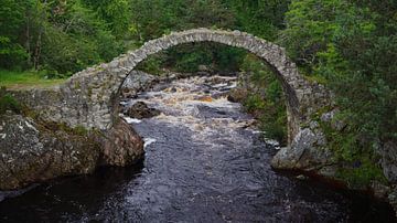 Steinbrücke und kleiner Wasserfall in Carrbridge