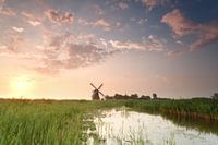 Rural beauty