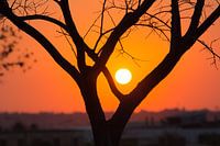 Coucher de soleil à Johannesburg