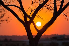 Zonsondergang johannesburg