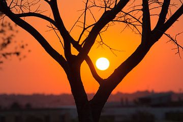 Coucher de soleil à Johannesburg sur Marijke Arends-Meiring