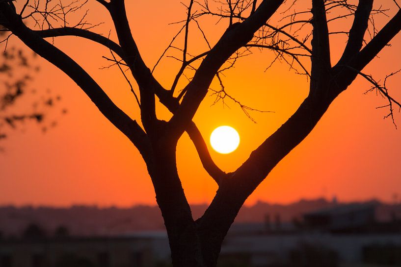 Coucher de soleil à Johannesburg par Marijke Arends-Meiring