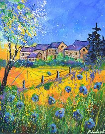 Eté chez moi sur pol ledent