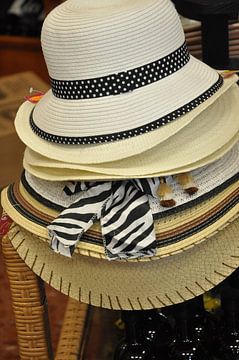 Sombreros de mujeres (Sierra Nevada) van Fons Hayes