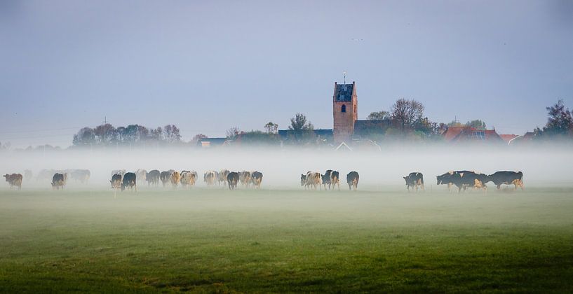 Koeien in de mist van Jaap Terpstra