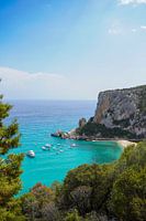 Turquoise bay in the summer sunlight.