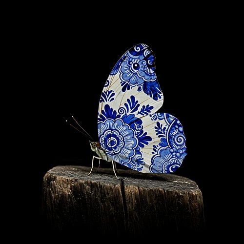 Butterfly delft blue