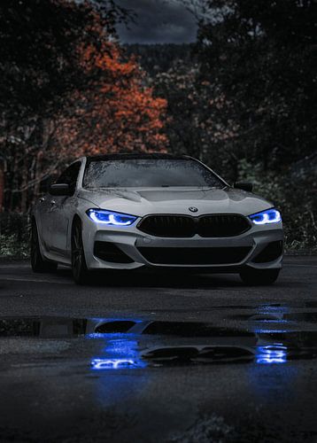 BMW 8 Reeks