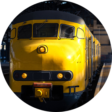 NS Mat '64 I Hondekop, Apekop I Station Haarlem