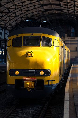 NS Mat '64 I Hondekop, Apekop I Haarlem Station
