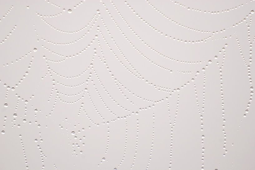 Spinnenweb met druppels by Margreet Frowijn