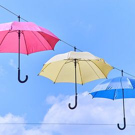 Regenschutz in der Sonne von Gevk - izuriphoto