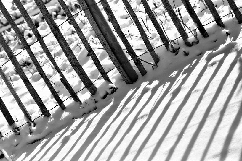 Sunny snow by Hannelore