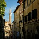 Siena - Die Gasse zur Piazza Del Campo von Teun Ruijters Miniaturansicht
