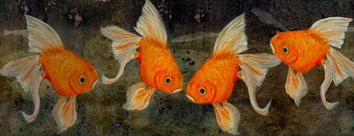  goudvis