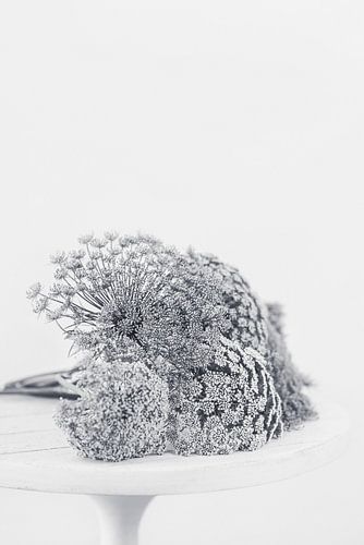 Still life of flowers in black and white