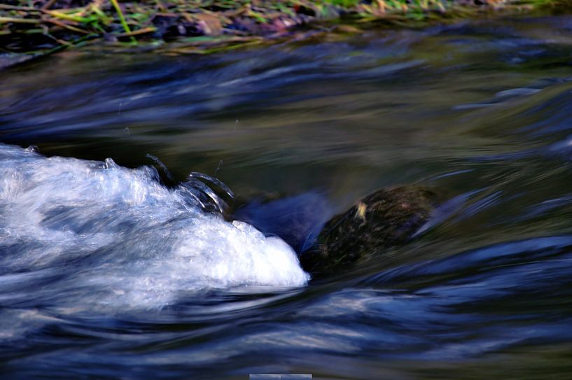 Water, Nature by Daniel Dorst