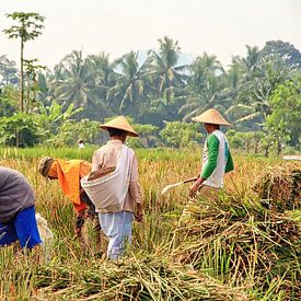 Boeren aan de Rijstoogst van Eduard Lamping