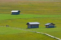 seiser alm