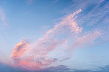 rosa Wolken von Dieter Walther