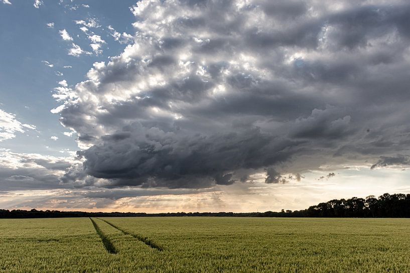land and air by rob creemers