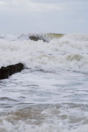 Wellen brechen sich an der Küste von Zeeland von Marjolijn van den Berg