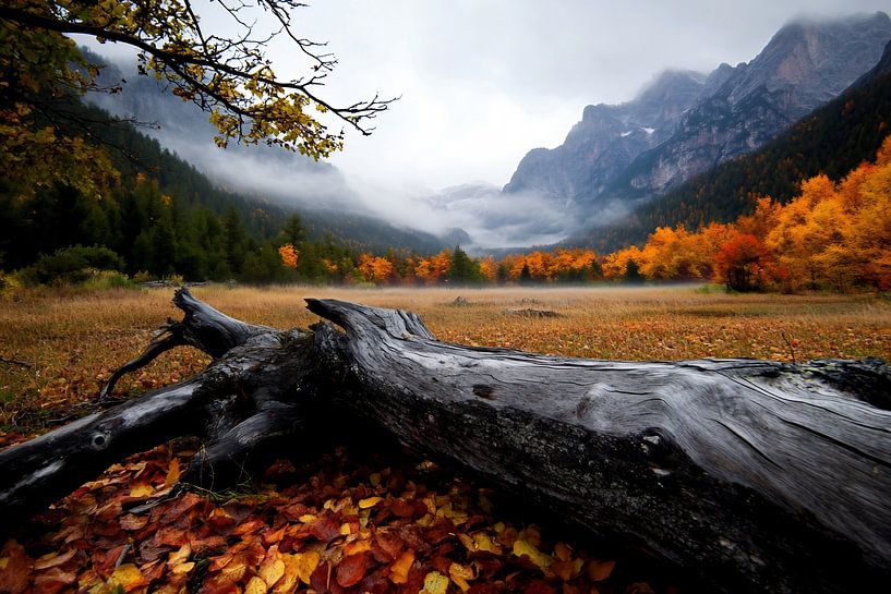 Infinite horizon by fernlichtsicht