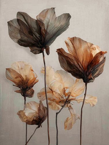 Beauté périssable - Fleurs séchées en silence