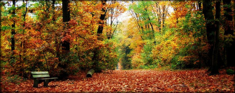 genieten by Vl-pictures Vera-linde