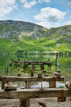 slovenië natuur en water aan het meer van bohinj