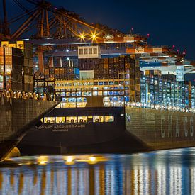 Titan im Dunkel von Sabine Wagner