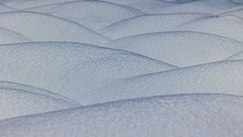 Snow by Harold van den Hurk