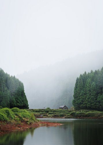 Häuschen an einem See im Nebel