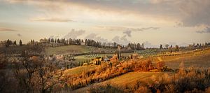 First light in Tuscany von Teun Ruijters