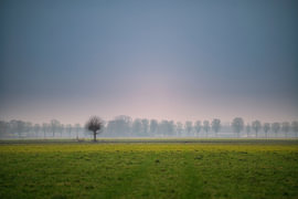 Solitair