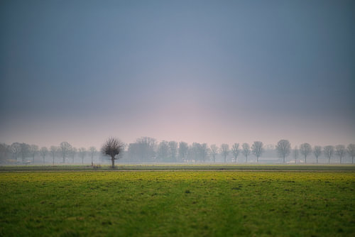 Solitair