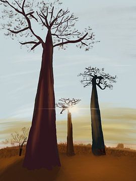 Allée des Baobabs, Madagascar sur Piev